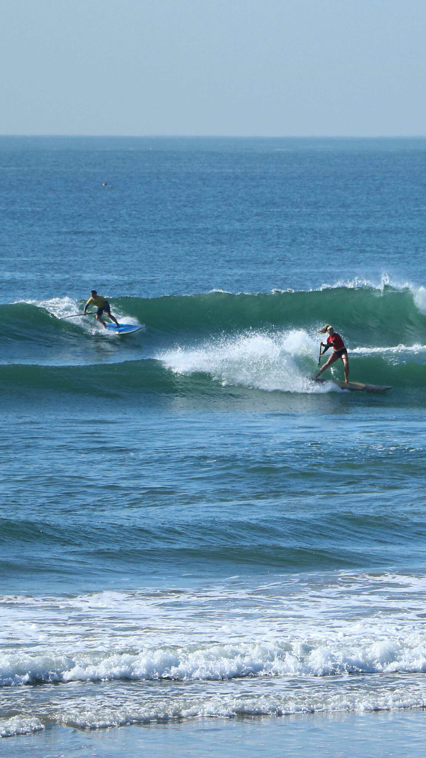 sup surf